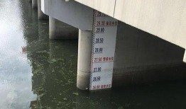 最新王家坝爆料,揭秘背后惊人真相